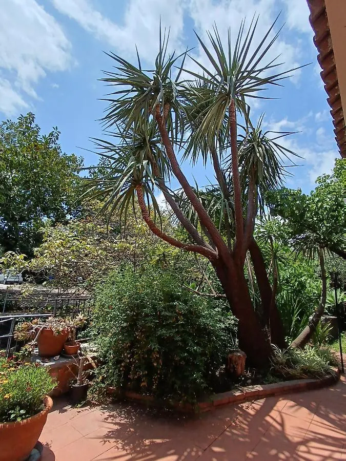 *** Bed & Breakfast B&B Villa Lidia Acireale Italy
