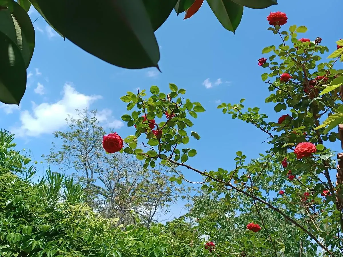 Bed & Breakfast B&B Villa Lidia Acireale